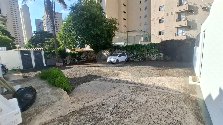 Foto REO1135644