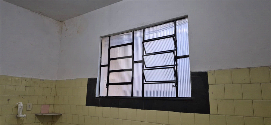 Foto REO1135647