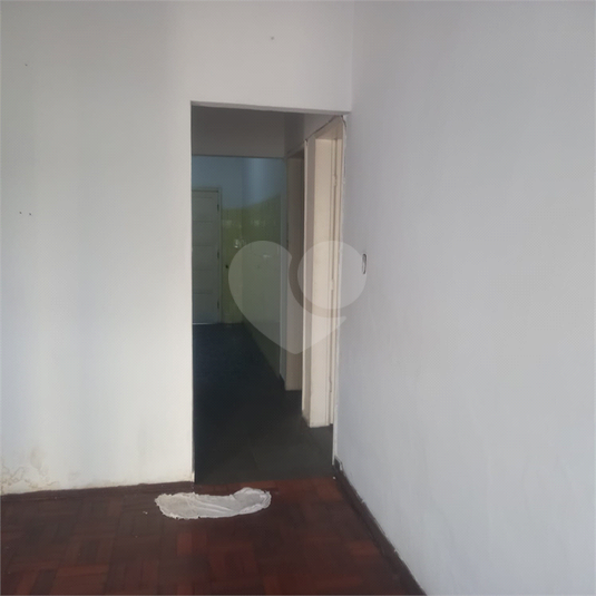 Foto REO1135647