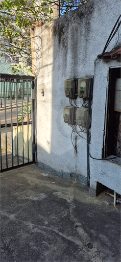 Foto REO1135647