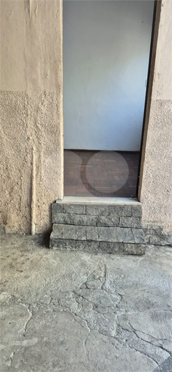 Foto REO1135647