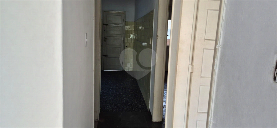 Foto REO1135647