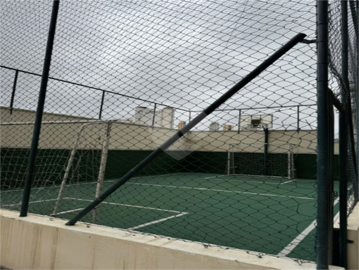 Foto REO1135653