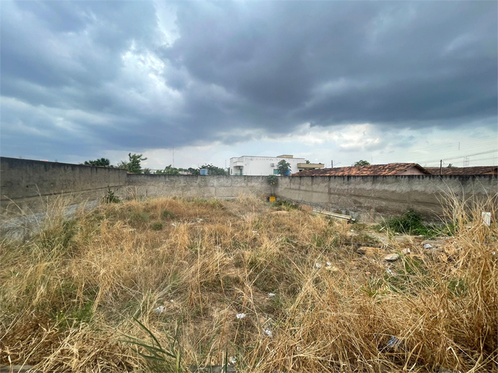 Foto REO1135661