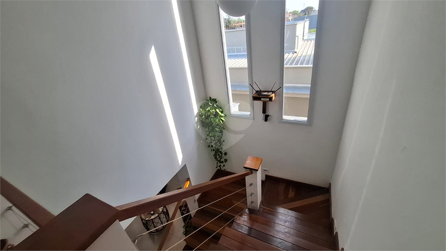 Foto REO1135662