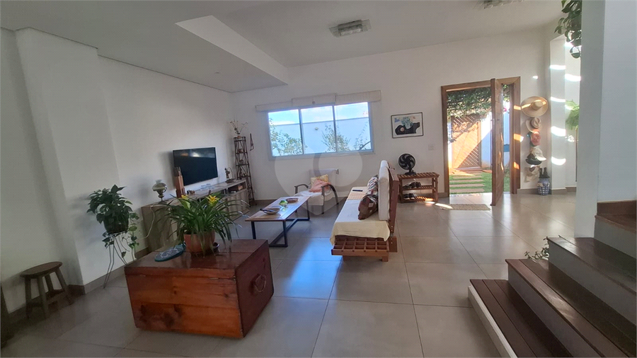 Foto REO1135662