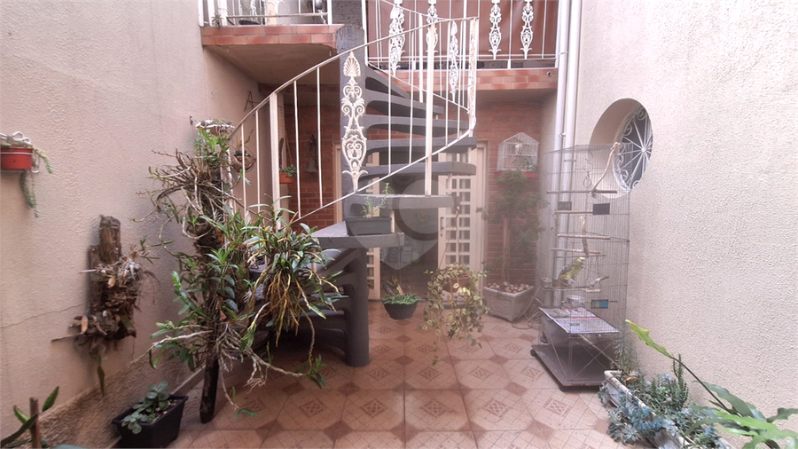 Foto REO1135665