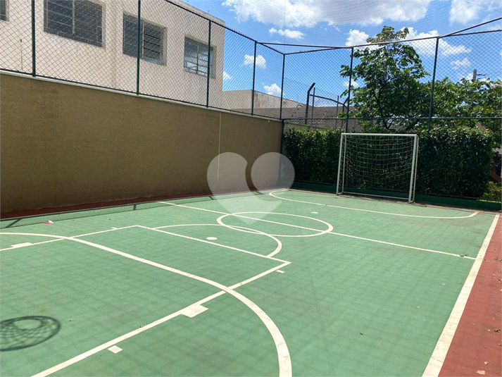 Foto REO1135676
