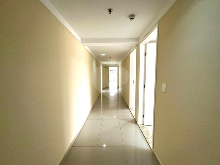 Foto REO1135679