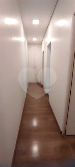 Foto REO1135707