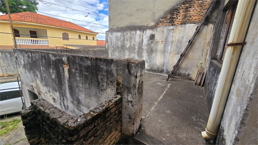 Foto REO1135720