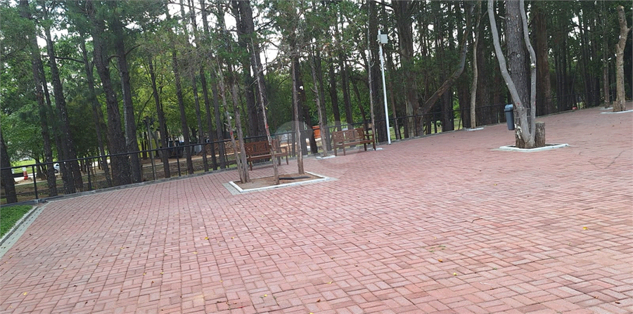 Foto REO1135736
