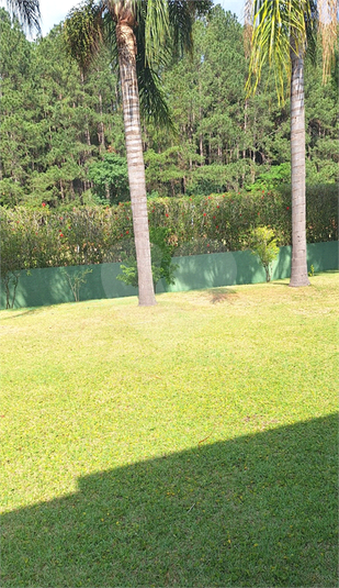 Foto REO1135736