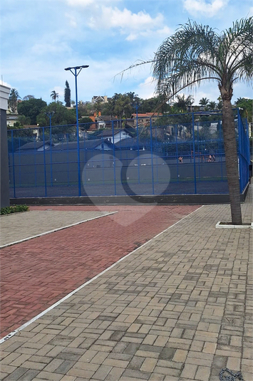 Foto REO1135736