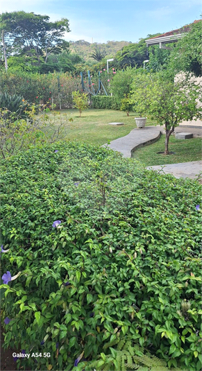 Foto REO1135761