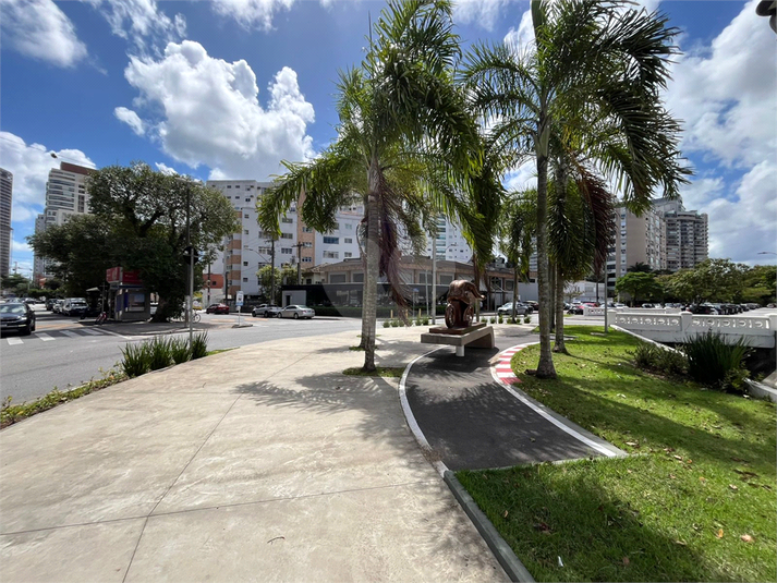 Foto REO1135766