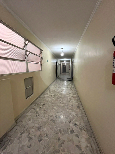 Foto REO1135766