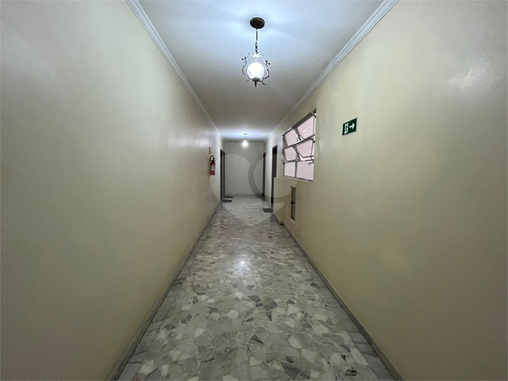 Foto REO1135766