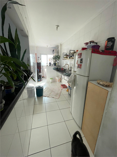 Foto REO1135796