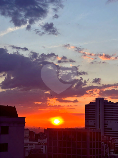 Foto REO1135799