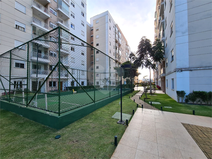 Foto REO1135801