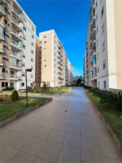 Foto REO1135801