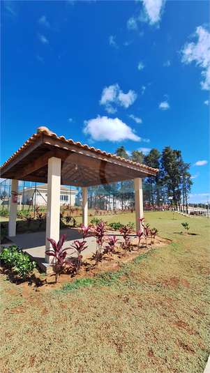Foto REO1135804