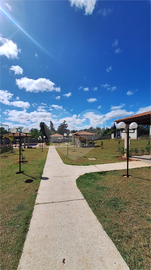 Foto REO1135804