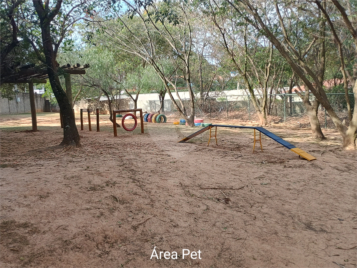 Foto REO1135819