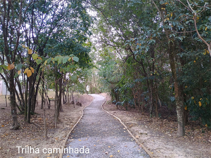 Foto REO1135819