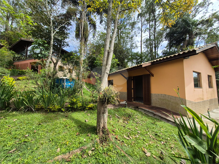 Foto REO1135829
