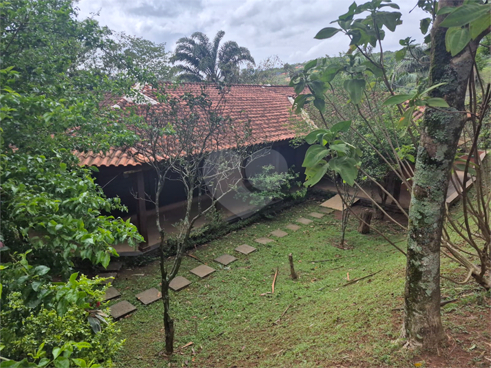 Foto REO1135829