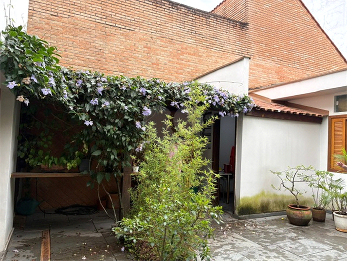 Foto REO1135835