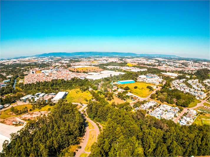 Foto REO1135842