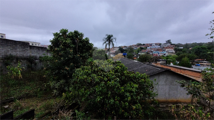 Foto REO1135846