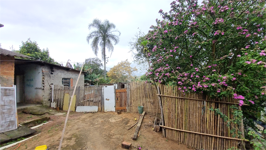 Foto REO1135846