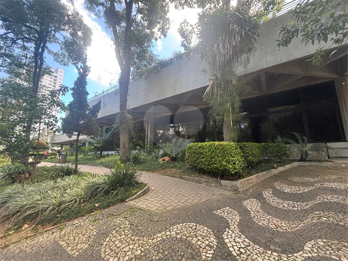 Foto REO1135852