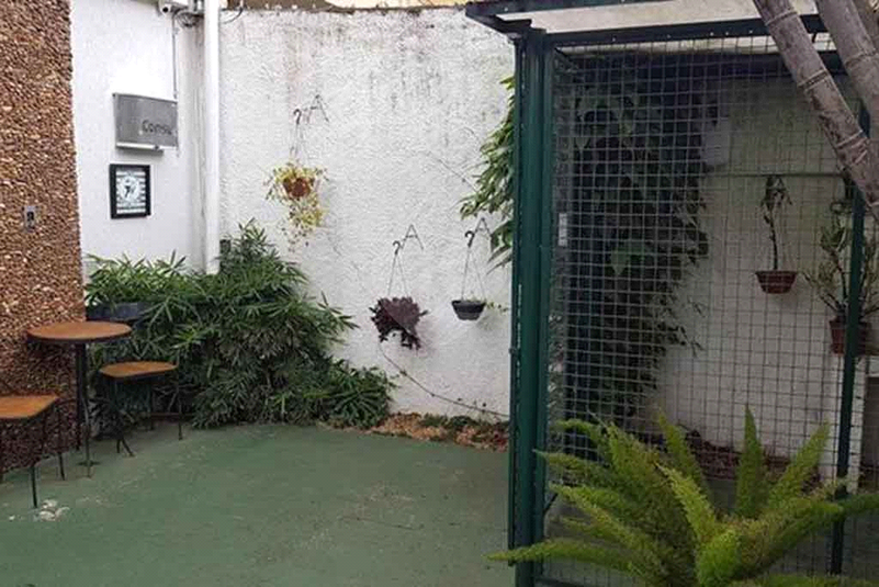 Aluguel Sobrado São Paulo Campo Belo REO113586 1