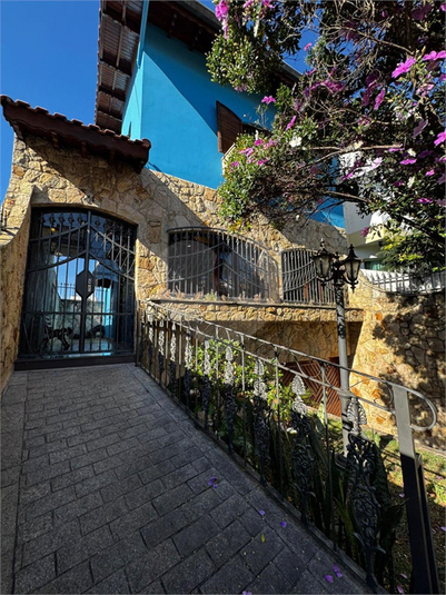 Foto REO1135867