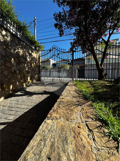 Foto REO1135867