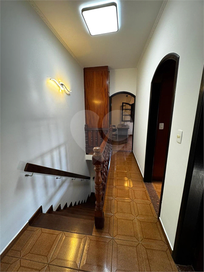 Foto REO1135867