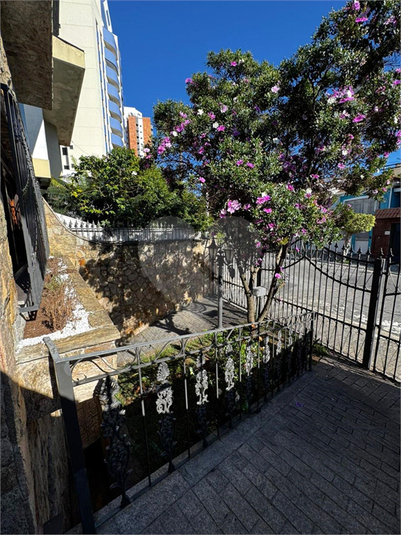 Foto REO1135867