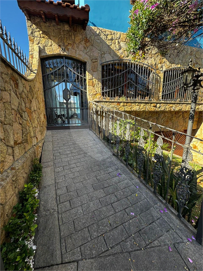 Foto REO1135867