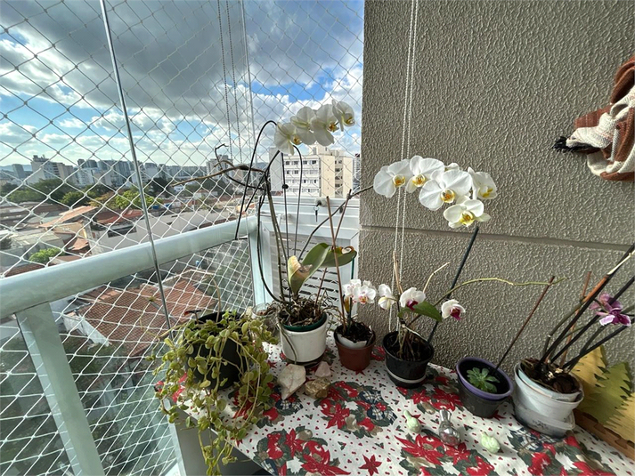 Foto REO1135870