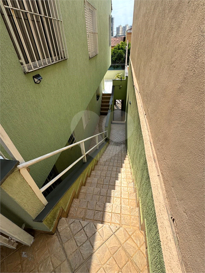 Foto REO1135878