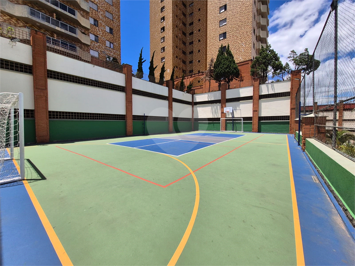 Foto REO1135882