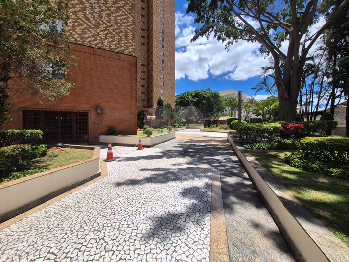 Foto REO1135882