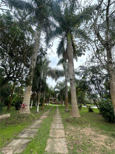 Foto REO1135883