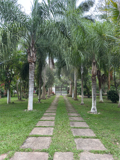 Foto REO1135883
