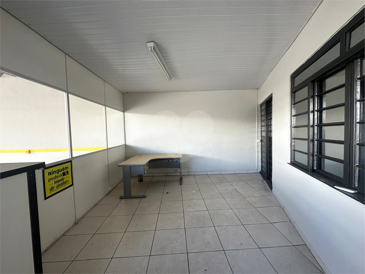 Foto REO1135897
